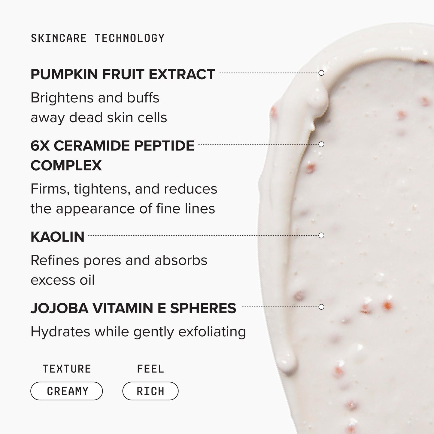Mini Pumpkin Enzyme Mask