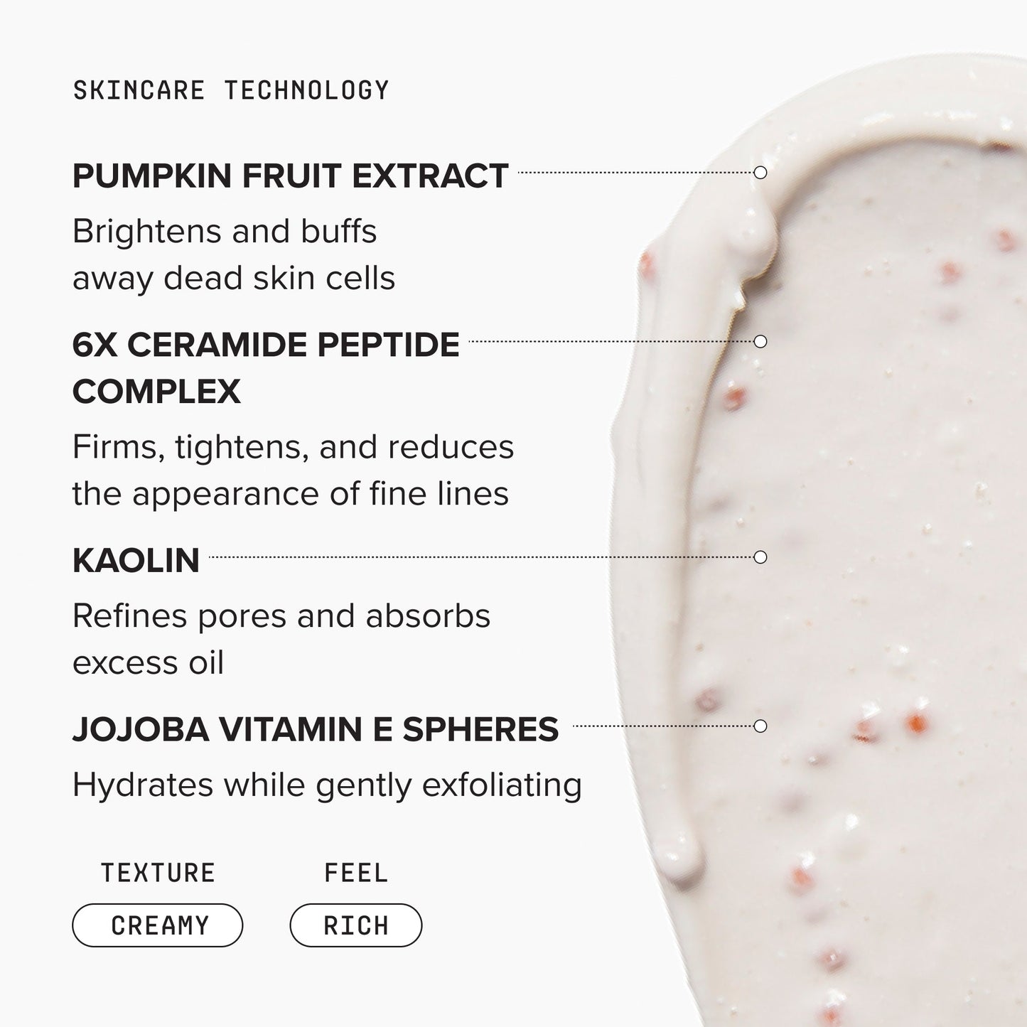 Pumpkin Enzyme Mask